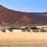 Namibia