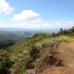 Papua New Guinea