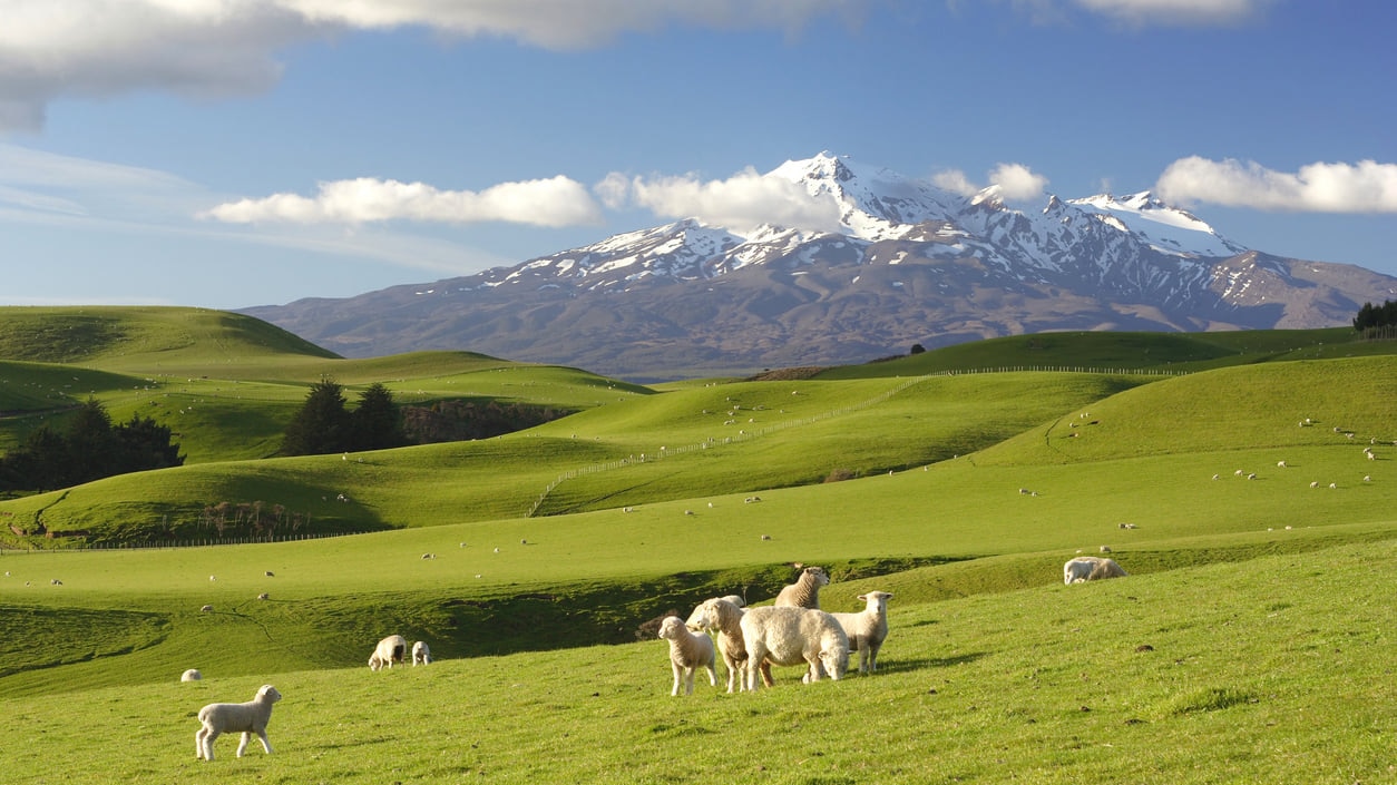 8 Spots That Show New Zealand Has the World’s Best Scenery