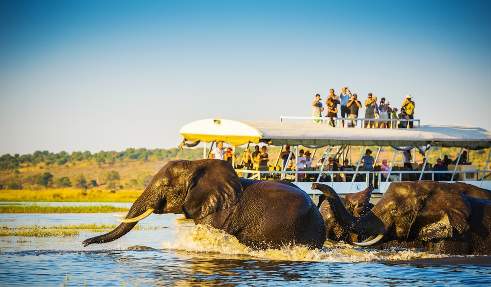 Botswana：A Fantastic Piece of African Wildlife