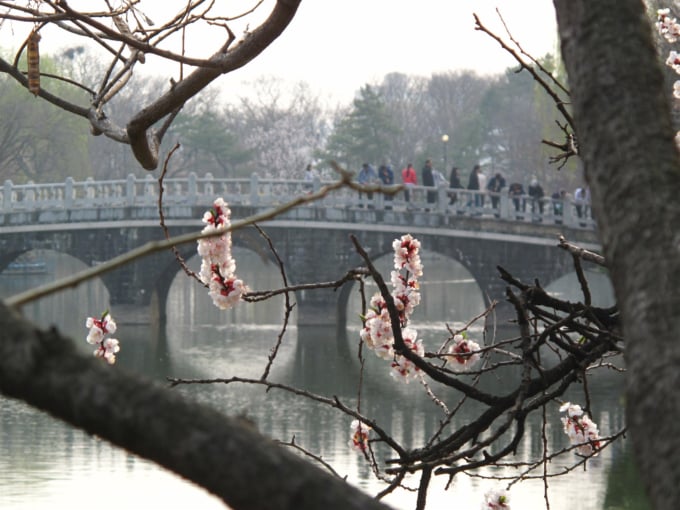 Duryu Bridge, Daegu