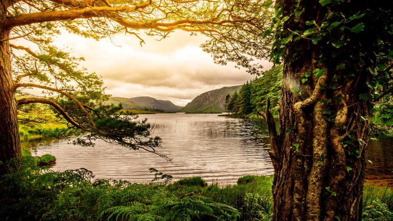 Killarney：A Scenic Provincial Life of Tranquil Lakes and Lush Woodlands