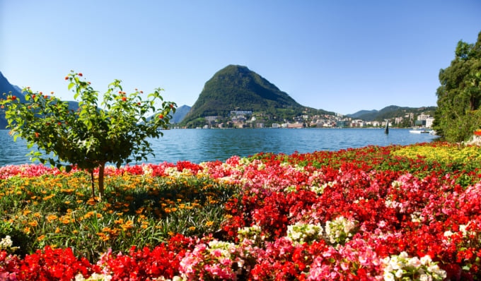 Monte San Salvatore and beautiful flowers in Lugano