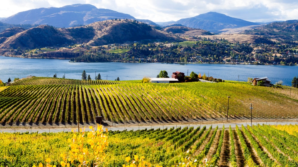 Penticton : The Peach City