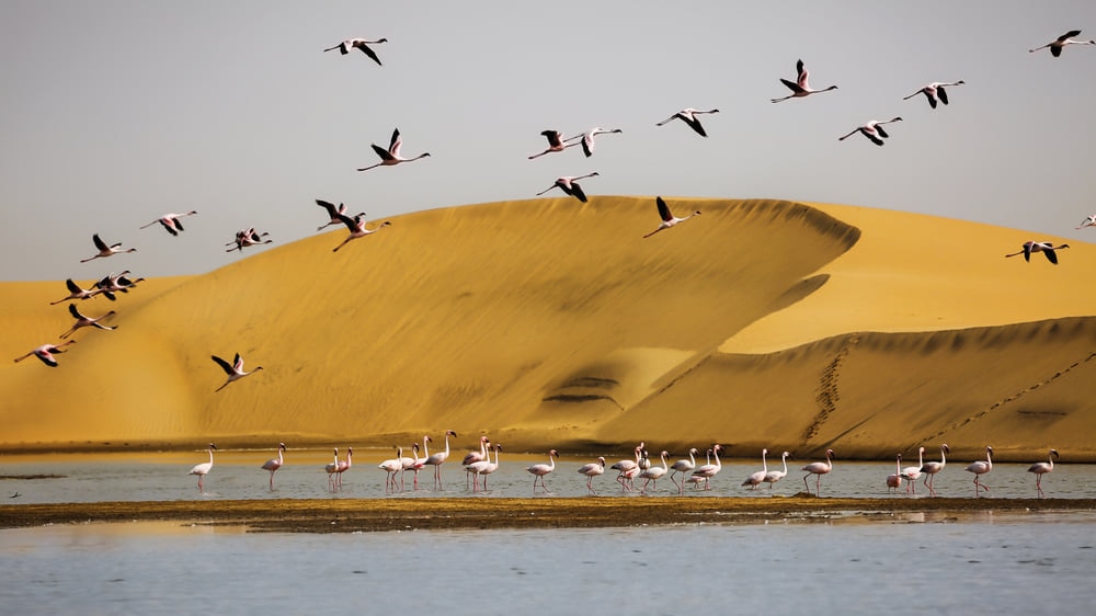 Walvis Bay : The Little Dubai