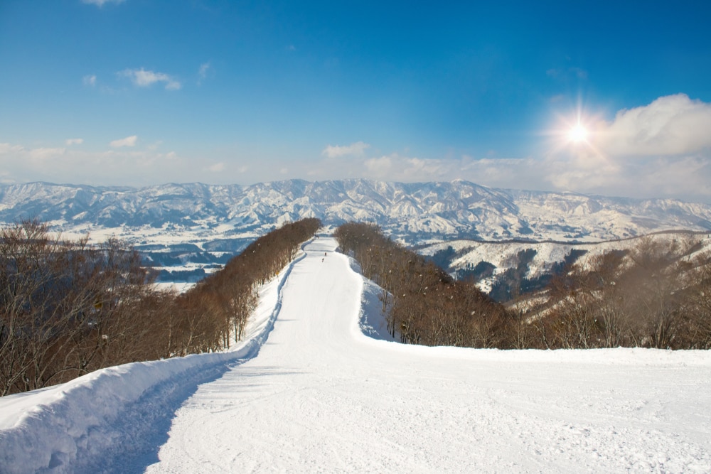 Does Japan Powder Skiing Live Up to the Hype?