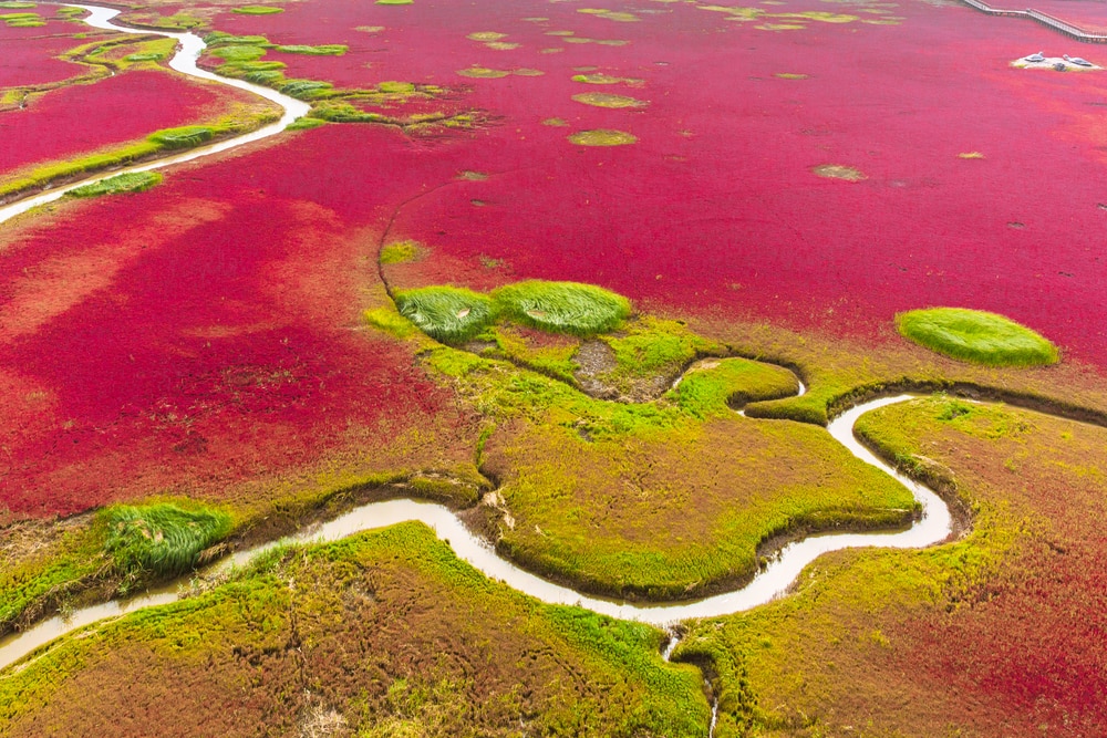 7 Incredible Places You Need to Check Out in China’s Northeast Region of Dongbei