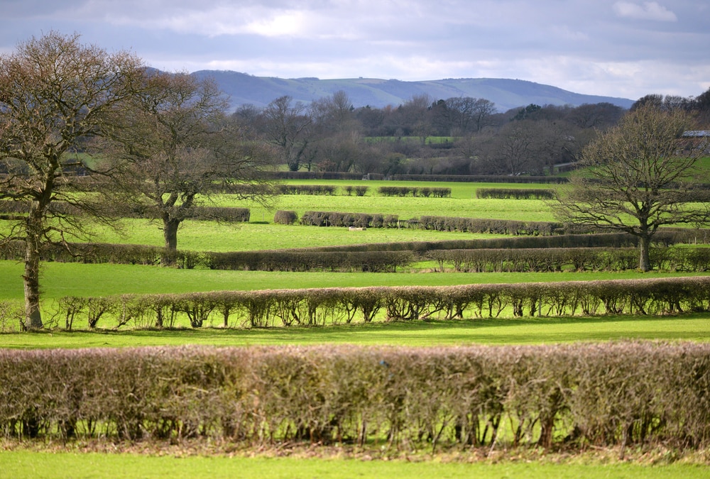 8 Beautiful Places to Visit in the UK Countryside