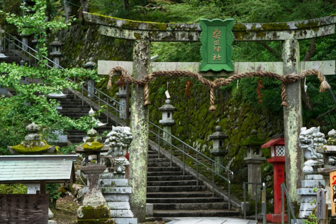 torii