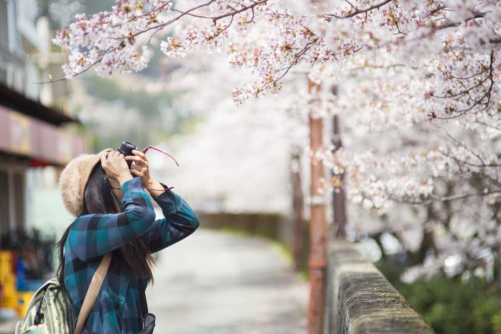 5 Reasons Japan is Perfect for Solo Traveling