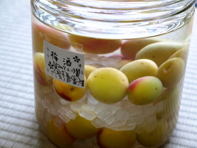 Japanese umeshu