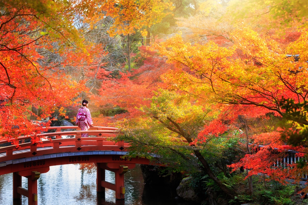 9 Things to Do in Japan During the Autumn Season skyticket Travel Guide