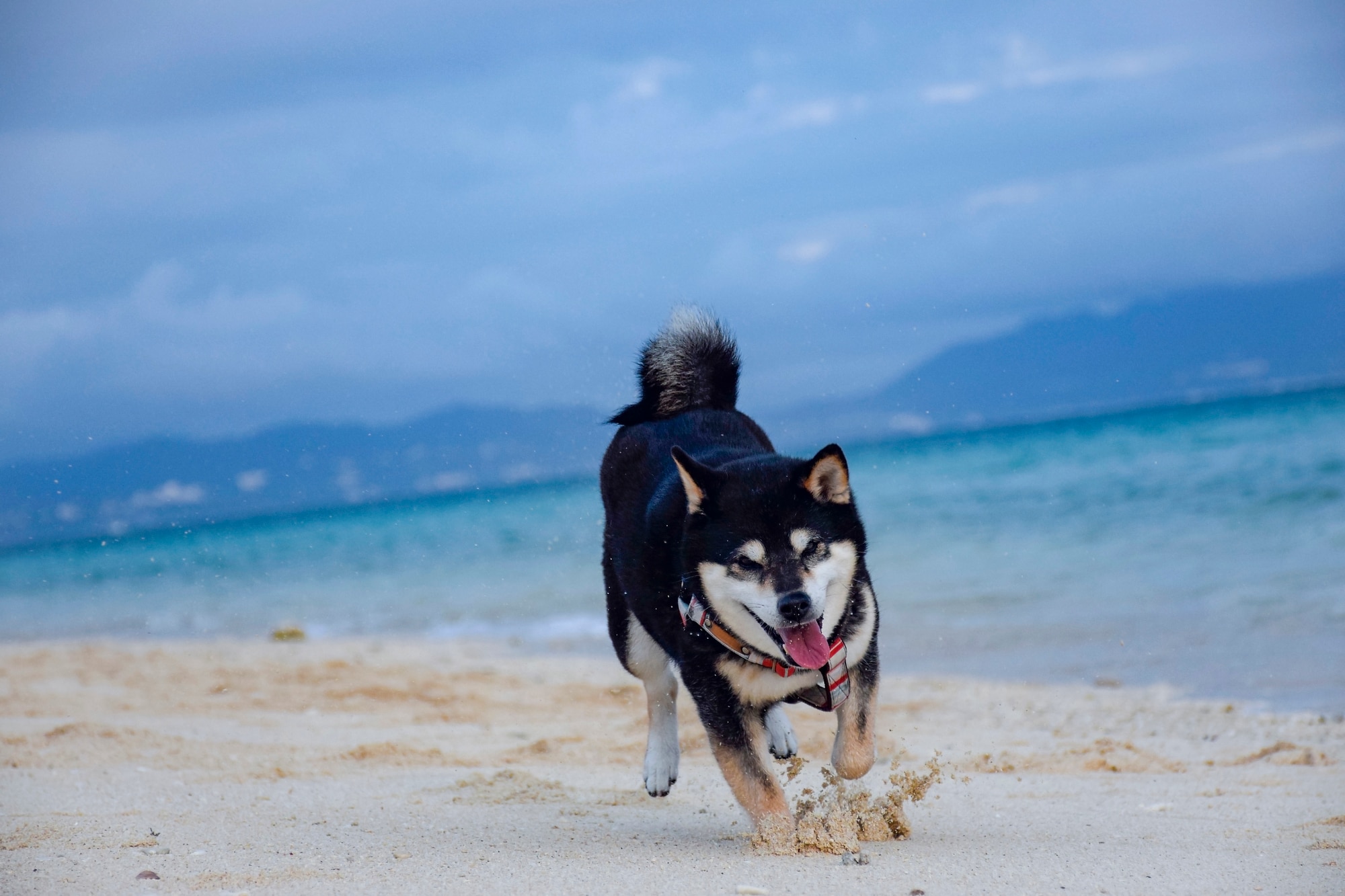 The Top 7 Best Beaches in Okinawa, Japan’s Island Paradise