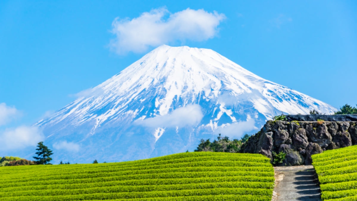 The Top 6 Must-See Cities in Shizuoka Prefecture