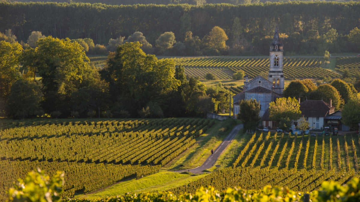 The Best Vineyards and Wineries to Visit in France