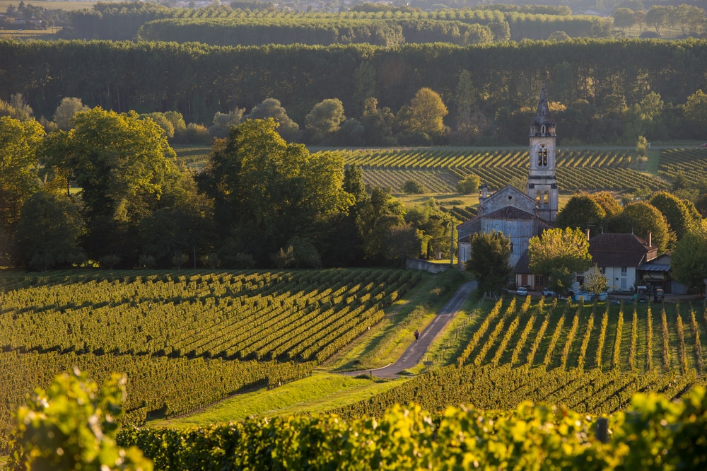 french vineyard tours