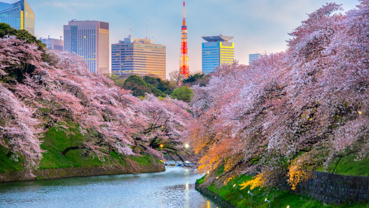 Visiting Japan in Spring: Weather, Clothing and Travel Tips