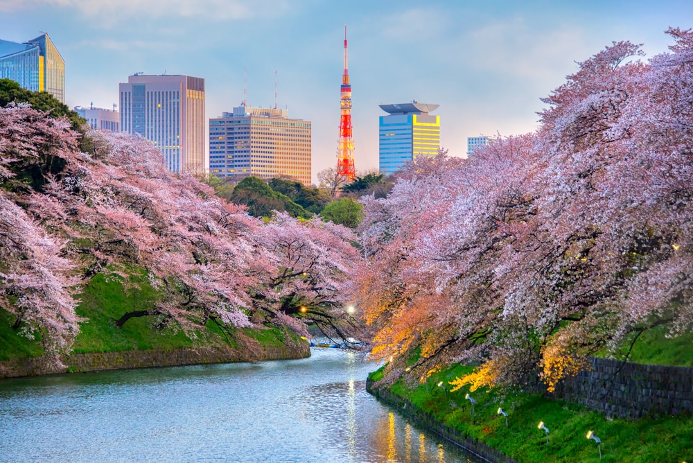 Spring in Japan 2023: Traveling, Clothing, and Weather in March