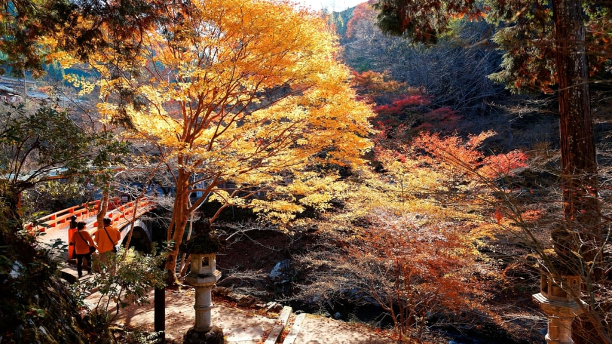 A Guide to the 5 Best Hiking Trails in and Around Tokyo