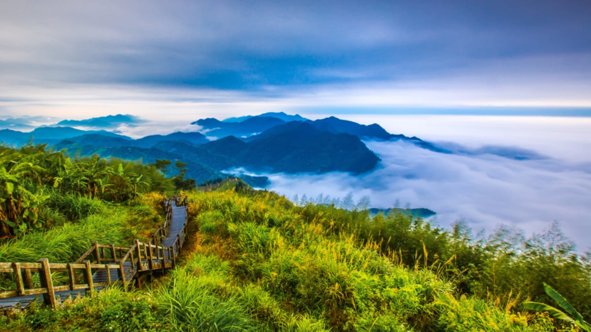 The Top Things to Do in Alishan, Taiwan