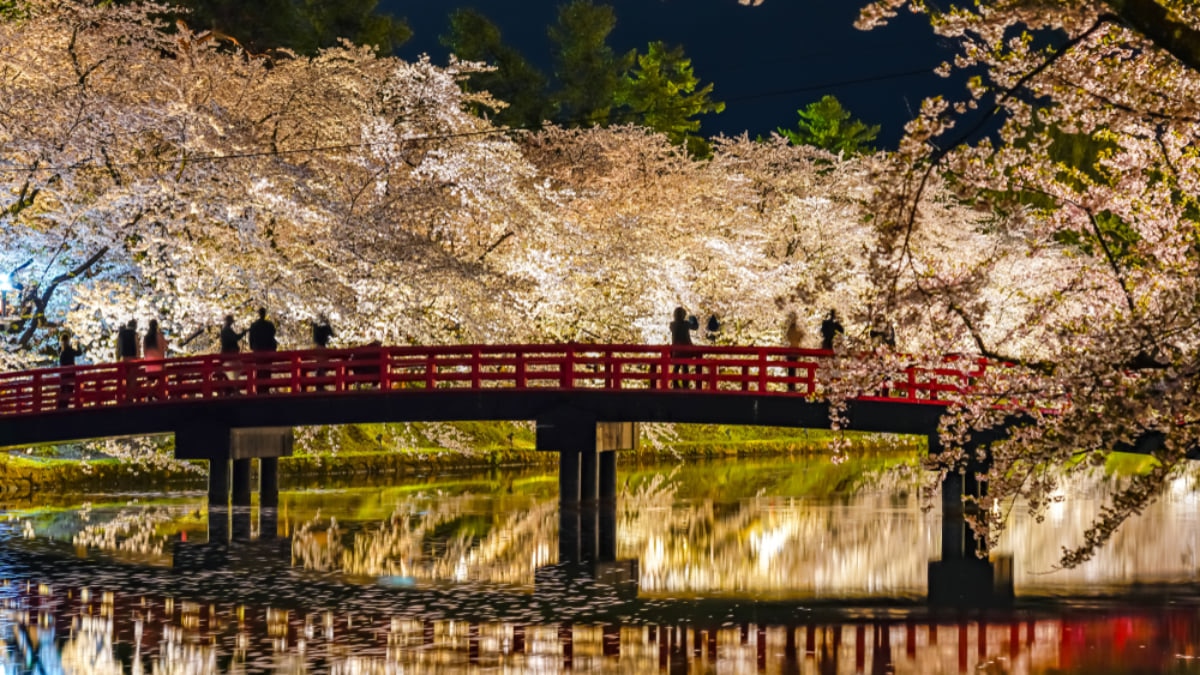 7 Great Reasons Why You Should Make Japan Your Next Holiday Destination