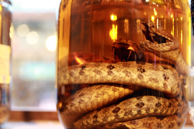 Habushu, Japanese alcohol made with awamori liquor and the body of a snake preserved inside