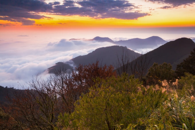 mountains of Alishan in Chiayi Taiwan