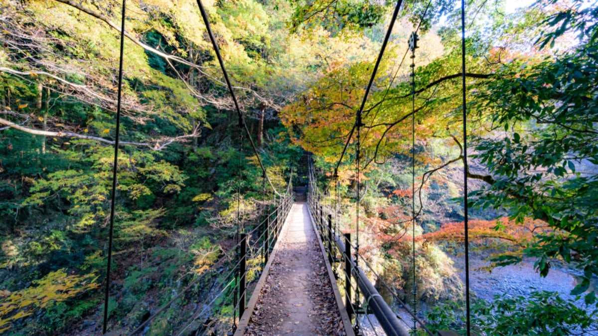 7 Beautiful Scenic Spots and Nature Escapes in Tokyo