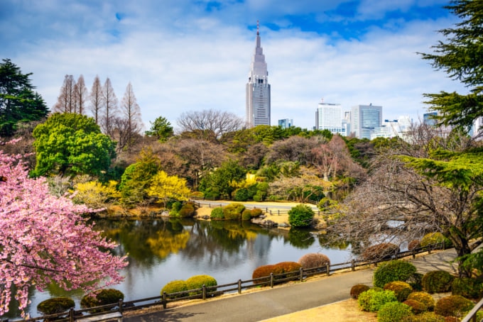 Shinjuku Gyoen Park, Tokyo, Japan