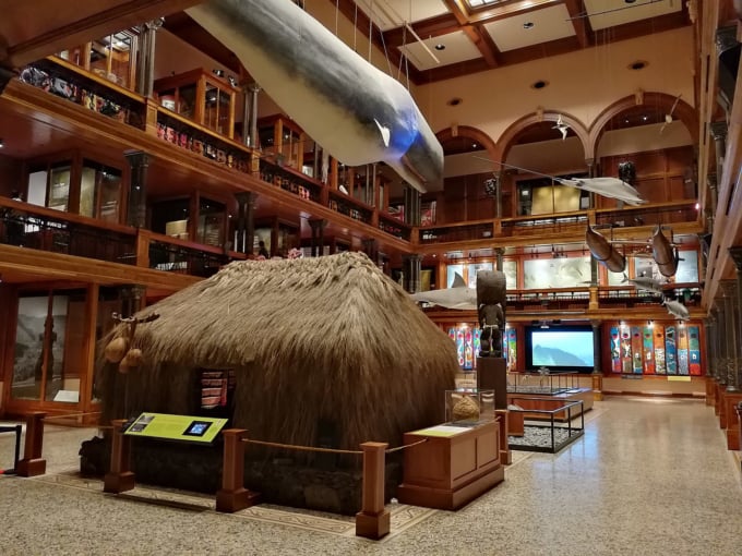 Bishop Museum (Honolulu, Hawaii)