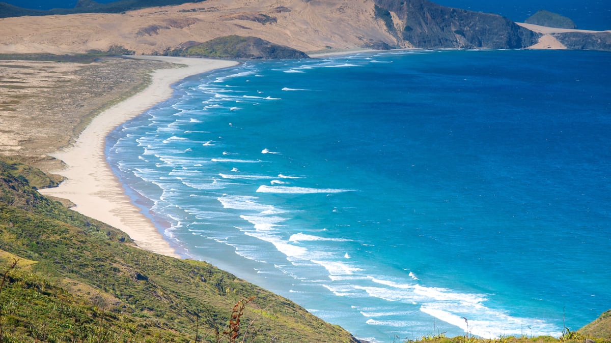 The Top Beaches to Visit in New Zealand