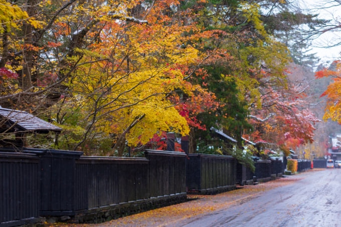 beautiful autumn leaf colors in japan Kakunodate