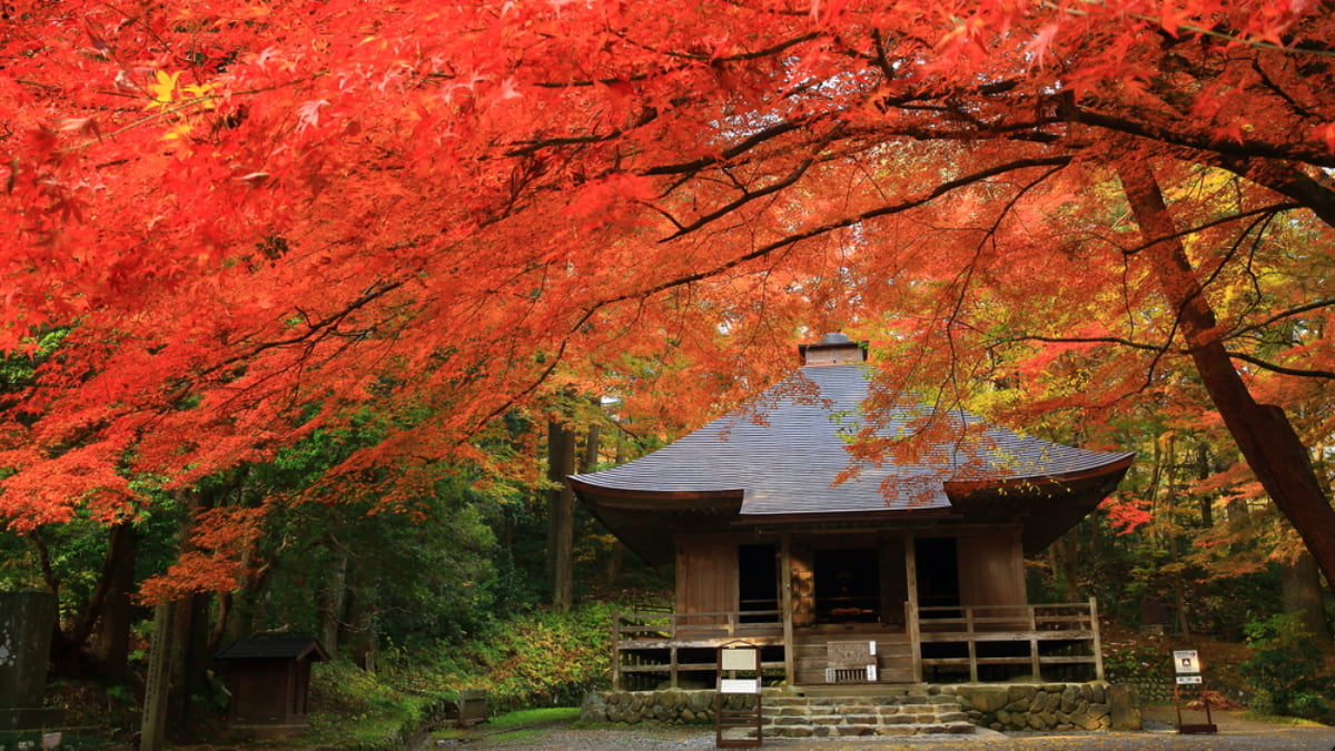 Incredible Day Trips to Take from Sendai, Japan’s Northern Capital