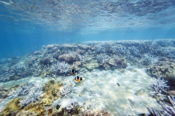 Diving in South Penghu Marine National Park