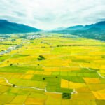 East Rift Valley in Taitung Taiwan