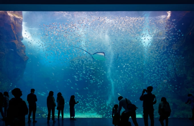 Xpark Aquarium in Taoyuan Taiwan