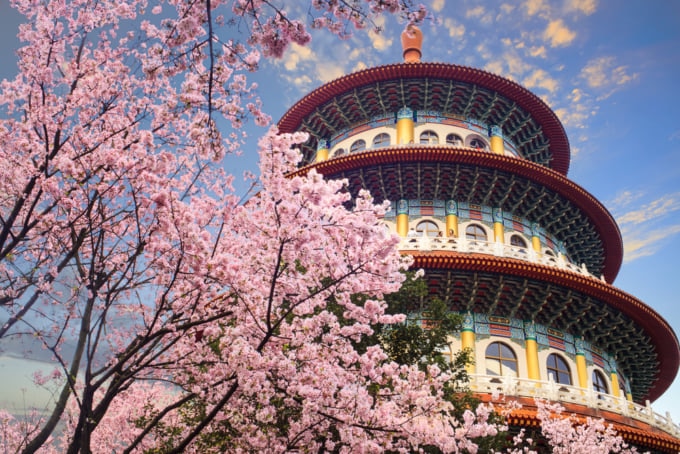 Taiwan Cherry Blossom Temple