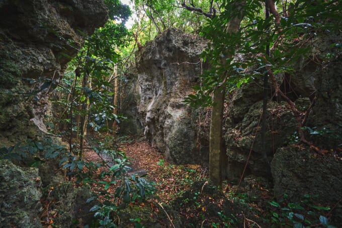 Kenting National Forest Park in Taiwan