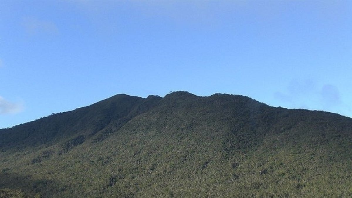 A treasure trove of rare species chosen as a World Heritage Site! The Mount Hamiguitan Range Wildlife Sanctuary in the Philippines