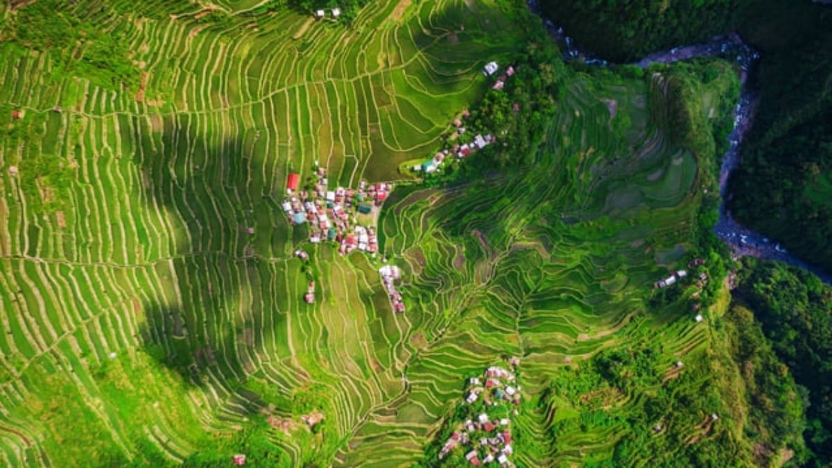 Stairway to heaven! World Heritage Site “Philippine Cordillera Rice Terraces”