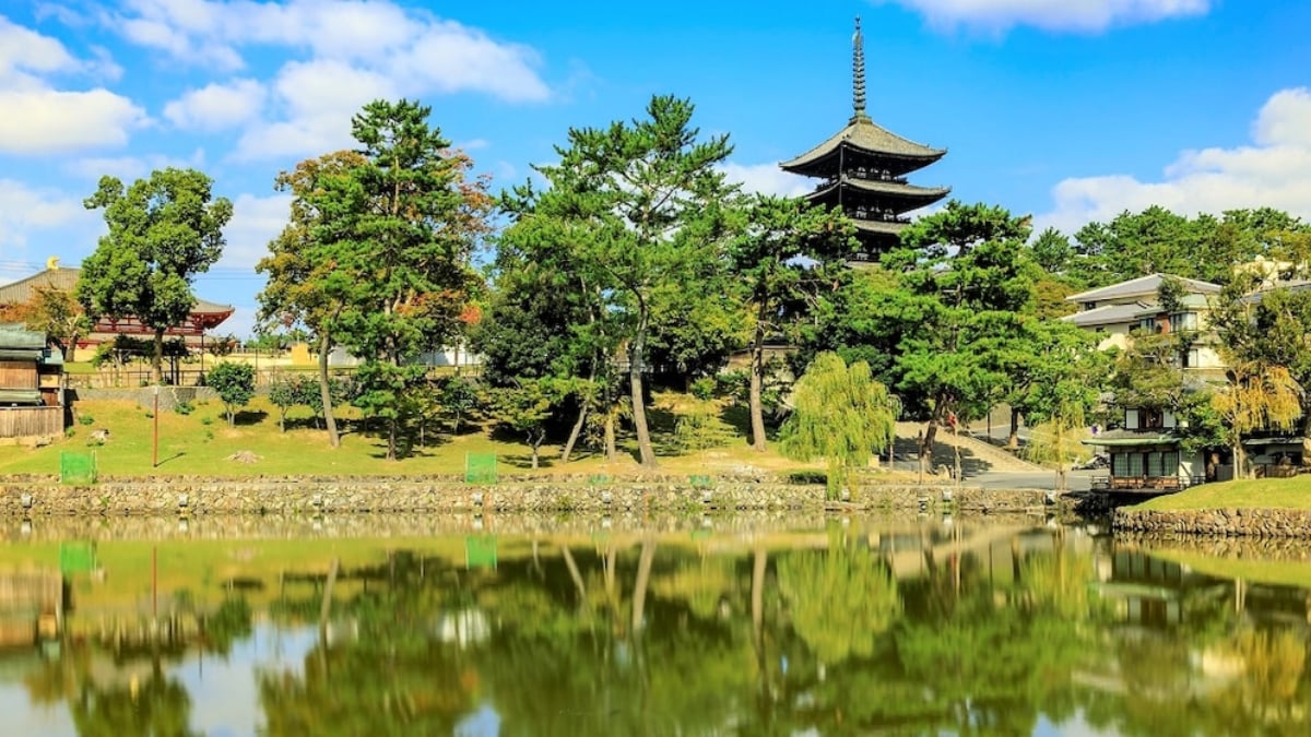 Important Cultural Property of Nara! Introducing Recommended Tourist Spots at Kofukuji