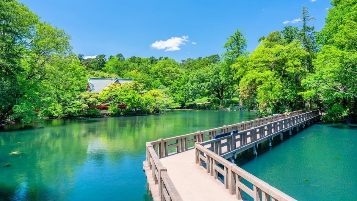 Recommended natural spots that you can visit on a day trip from Tokyo