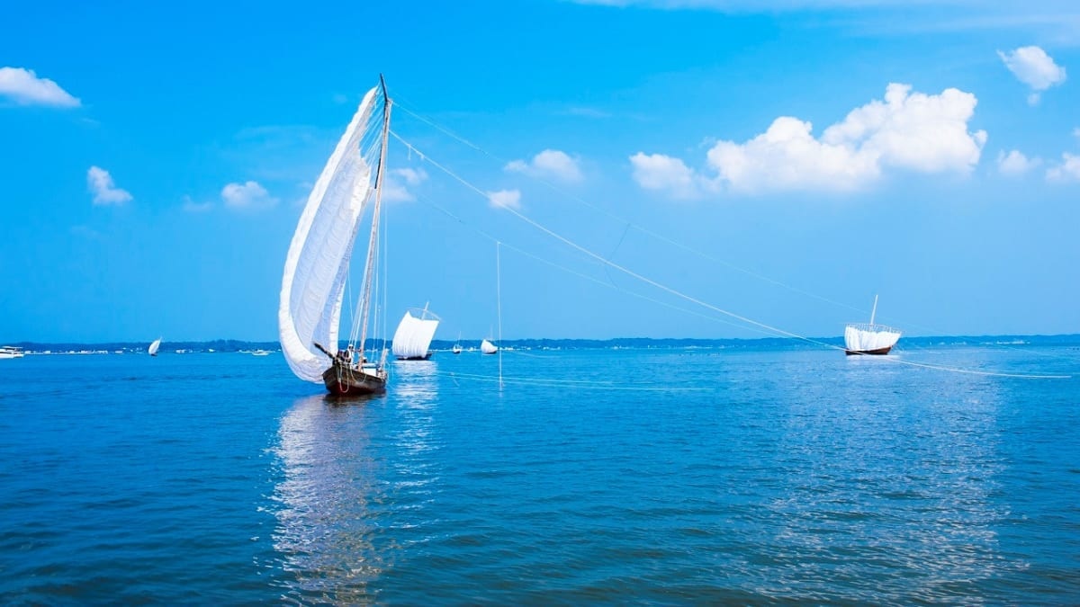 14 sightseeing spots around Lake Kasumigaura: Enjoy Japan’s second largest freshwater lake