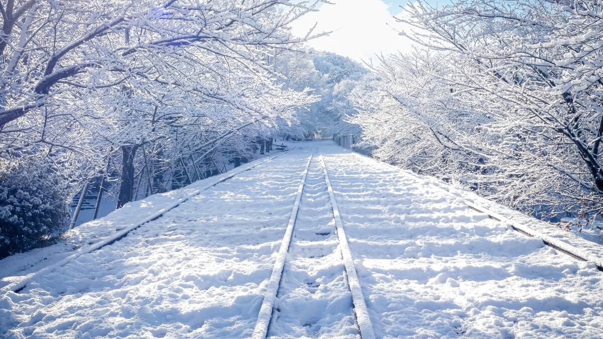 【Breathtaking Views】A Hidden Gem in Kyoto: “Keage Incline” Through the Four Seasons