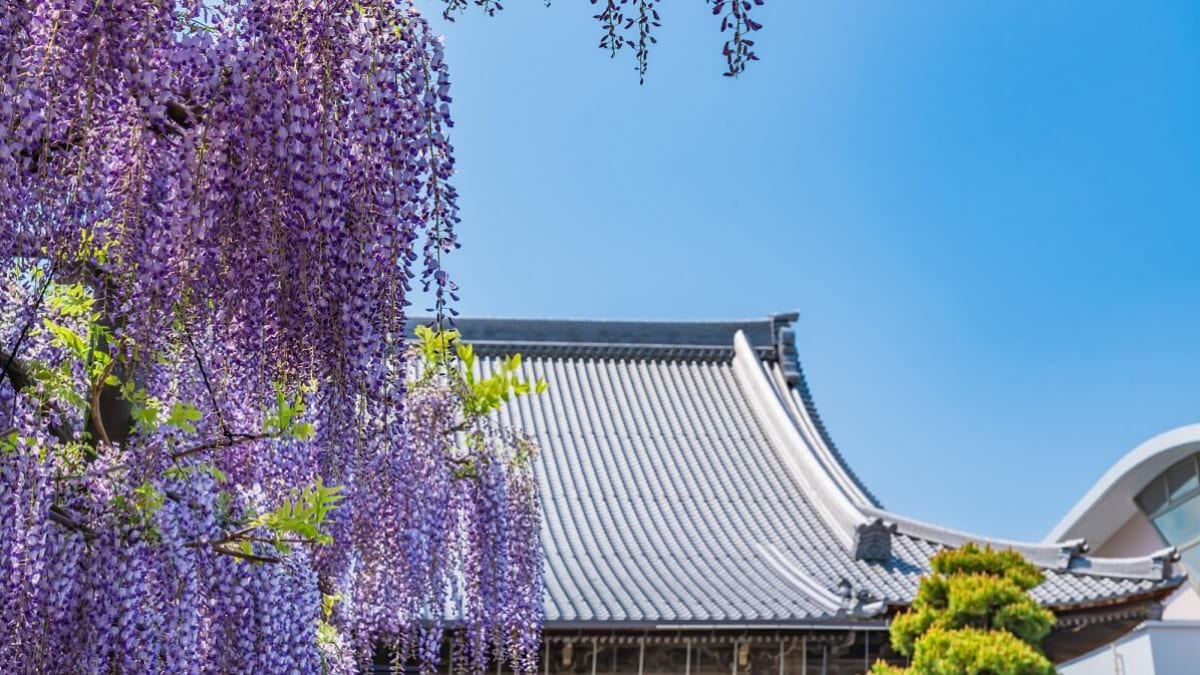 Explore by Shinkansen! 6 Must-Visit Tourist Spots in Hashima City, Gifu Prefecture