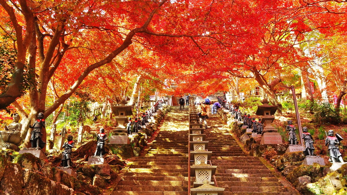 16 recommended sightseeing spots in Oyama, Kanagawa