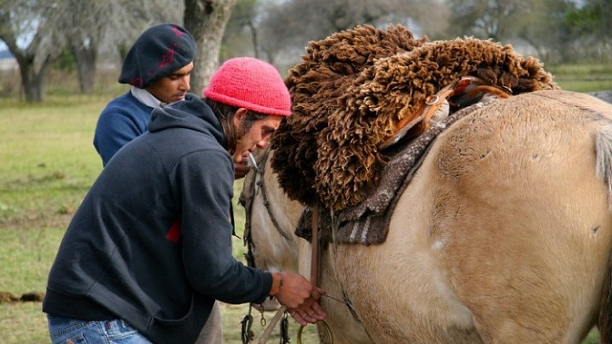 【Uruguay: South America’s Hidden Treasure】Discover a Country of History, Relaxation, and 5 Incredible Travel Destinations!