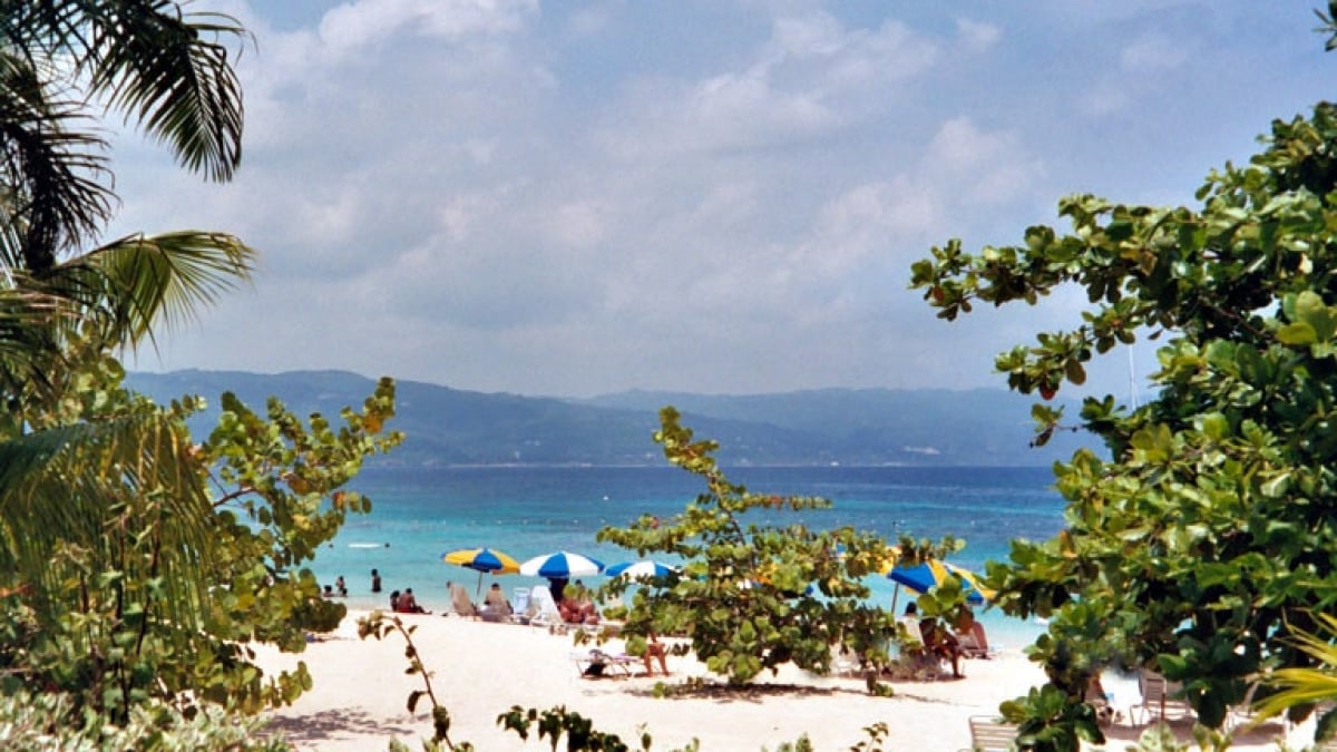 Experience the Allure of Jamaica! 12 Recommended Tourist Spots in Jamaica