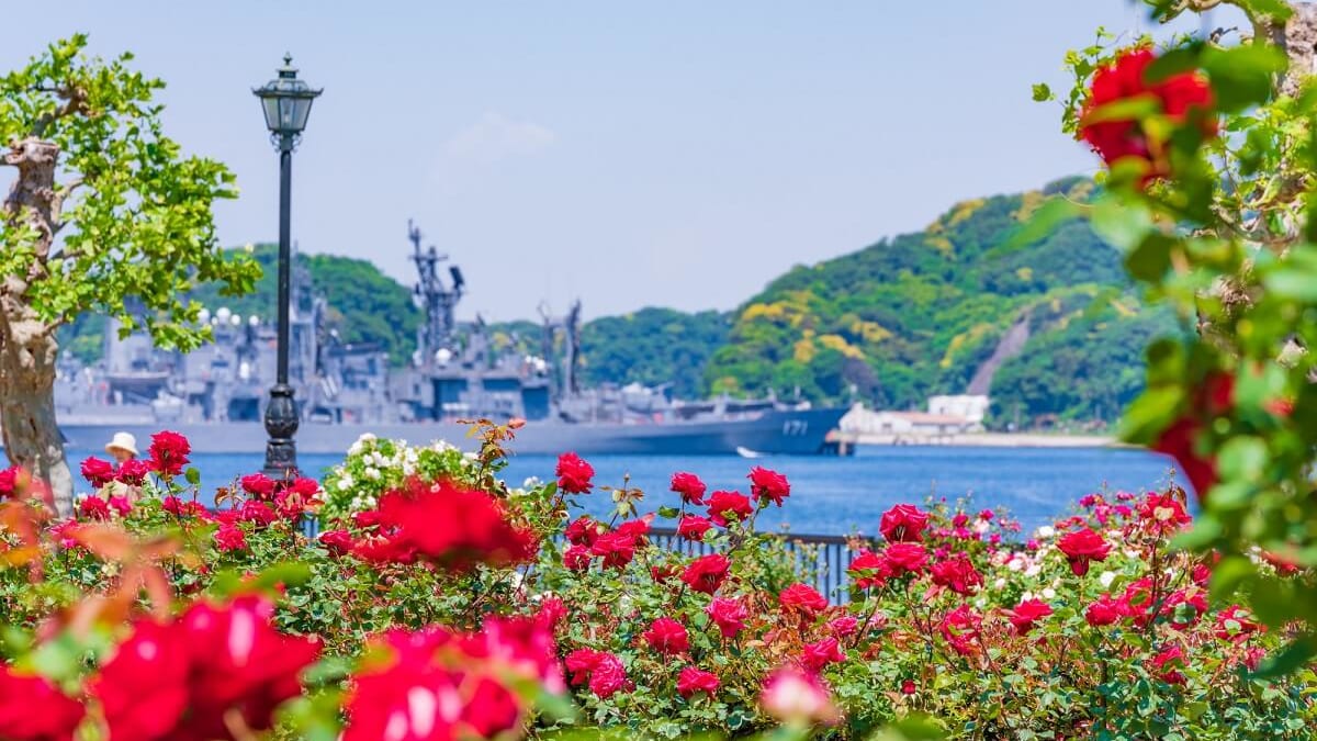 Let’s Stroll Along the Coastline! 7 Recommended Tourist Spots in Yokosuka