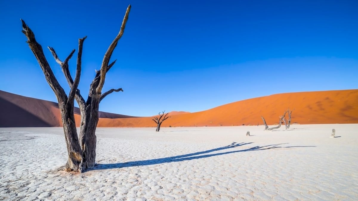 14 Stunning Desert Landscapes in Namibia, Africa, That Stir the Soul